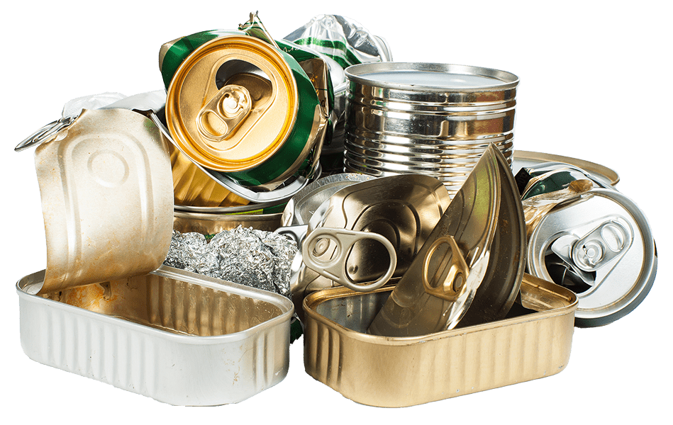 cans-ko-web